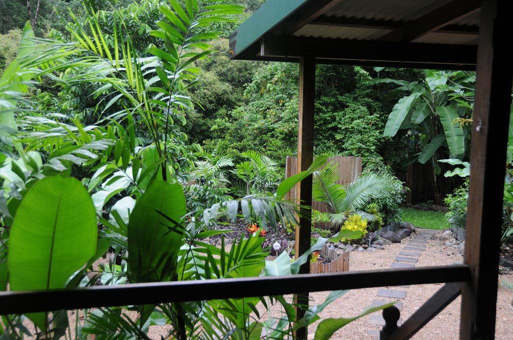 Wildwood Villa Cape Tribulation Exterior photo