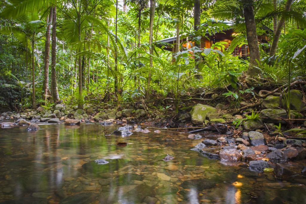 Wildwood Villa Cape Tribulation Exterior photo