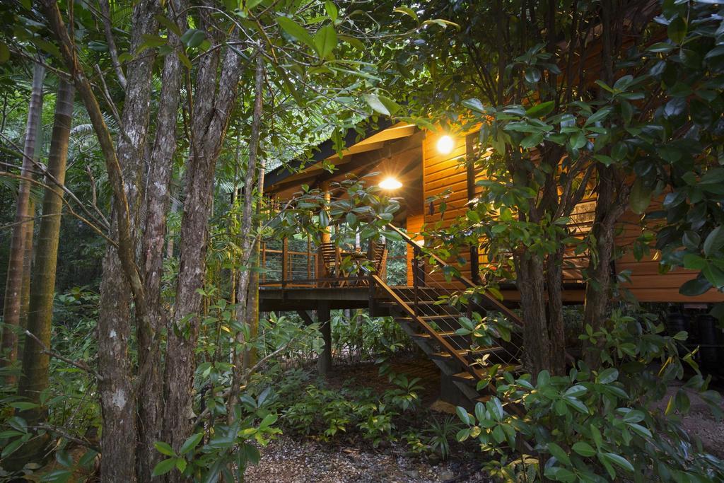 Wildwood Villa Cape Tribulation Exterior photo